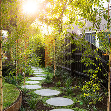 side garden