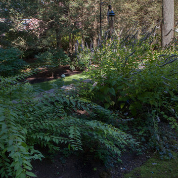 Complete Yard Renovation Newton, MA