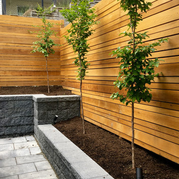 AFTER - Evenly spaced trees planted to create privacy