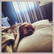 Michael Jordan's photo