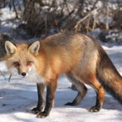 Chrissy MacAulay's photo