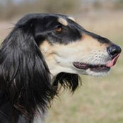 Vaida Dukauskiene's photo
