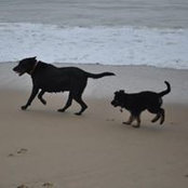 Stacey Kochanek's photo