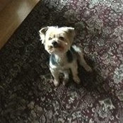 Scott Meehan's photo