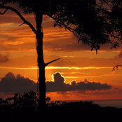 Dave Feser's photo