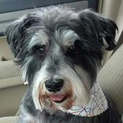 Stephanie Fallon Zebrowski's photo