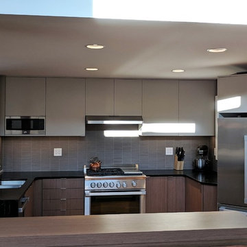 Midcentury Modern Kitchen in Carlisle, PA