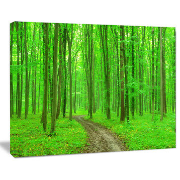Pathway in Bright Green Forest, Modern Forest Canvas Art, 40"x30"