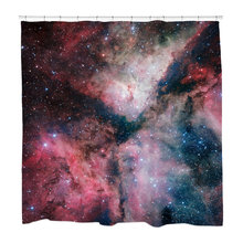 Shower curtain