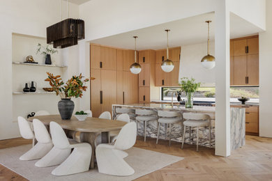Inspiration for a contemporary dining room remodel in Austin