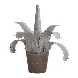 Parisian Iron Aloe - Home Decor