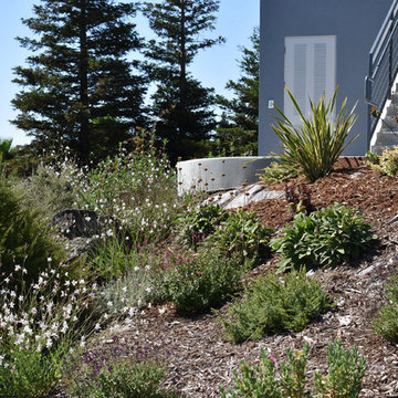 Deer Resistant and Slope Stablizing Plantings for Residential Winery