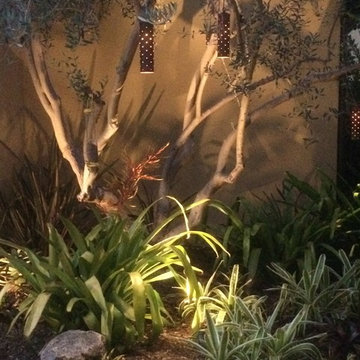 Courtyard Garden