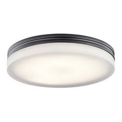 Elan Lighting - Elan Lighting Mount Rylee Collection - Flush-mount Ceiling Lighting