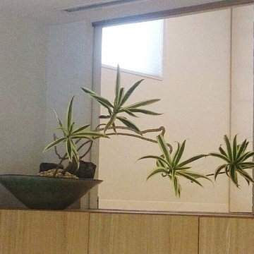 Plants.S