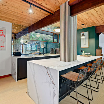 Great Falls Mid Century Modern