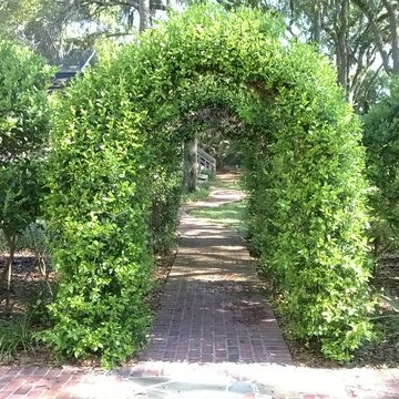 Jacksonville area gardens