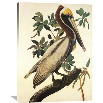 "Brown Pelican" Artwork, 30"x40"