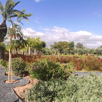 Création d'un jardin dans une palmeraie