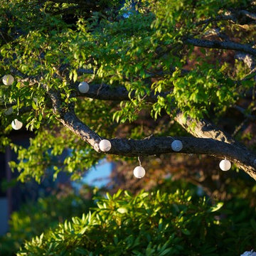 Solar String Lights