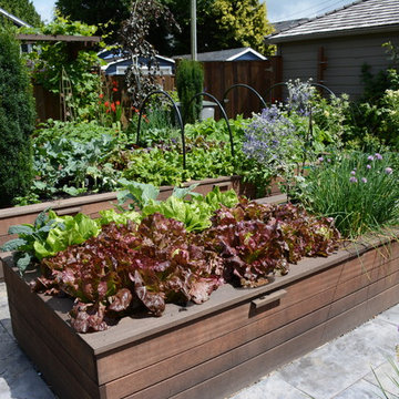 Raised Vegetable Bed / Ornamental Garden 2016