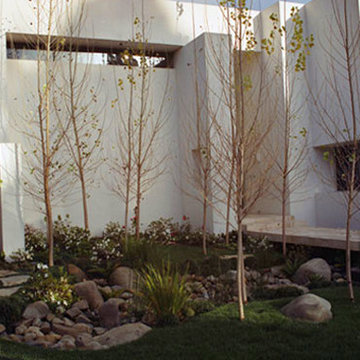 Front yard creek