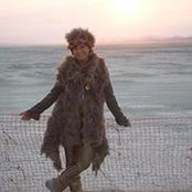 Lisa Goldberg's photo