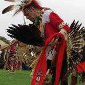 Michael Willis's photo