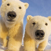 Brian Hillegas's photo