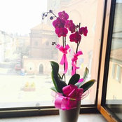 Foto von Giusy Allocca