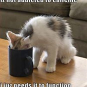 Dvora Sheremeta's photo