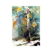 Layla Kilmer's photo