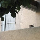 Carol Pierce's photo