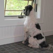 MaryBeth Frosco's photo