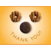 Suzanne Peterson's photo