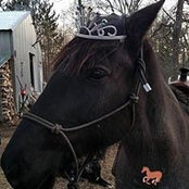 Laura Tomberlin's photo