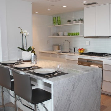 White Galley Kitchen