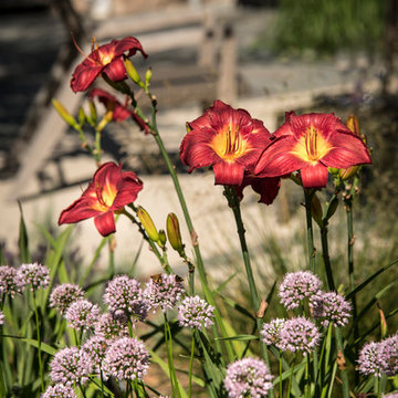 Modern Backyard Landscape - Mequon