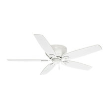 Ceiling fans
