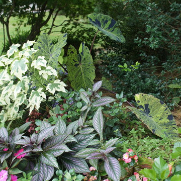 Great Plant Combos