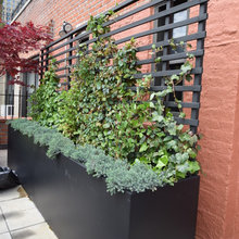 Outdoor Space/roof