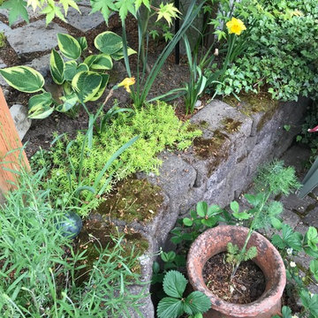 Small informal garden at edge of sunken patio