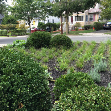 Front garden fun