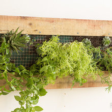 Green Wall