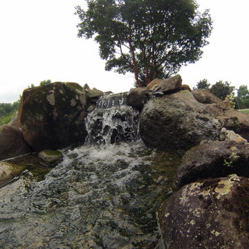 Large Scale Pond Project