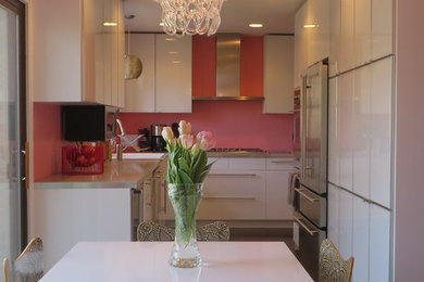 Eat-in kitchen - small modern u-shaped dark wood floor and brown floor eat-in kitchen idea in DC Metro with flat-panel cabinets, white cabinets, quartzite countertops, stainless steel appliances and no island