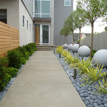 Landscape Ideas