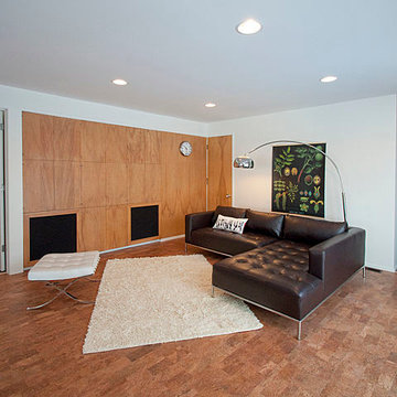 Ann Arbor Mid-Century Modern Renovation