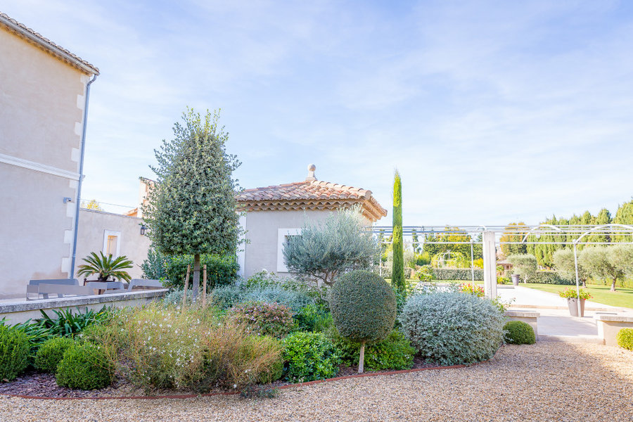 Jardin M.  Châteaurenard  TERRE DE PROVENCE  LES POUSSES VERTES by heRBe