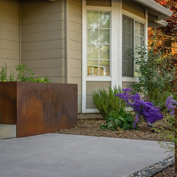 Campbell Front Yard Xeriscape
